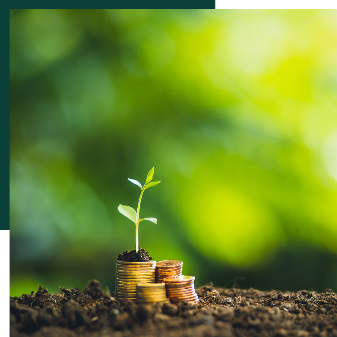 PayAssist - Employment Partnership - LocoSoco